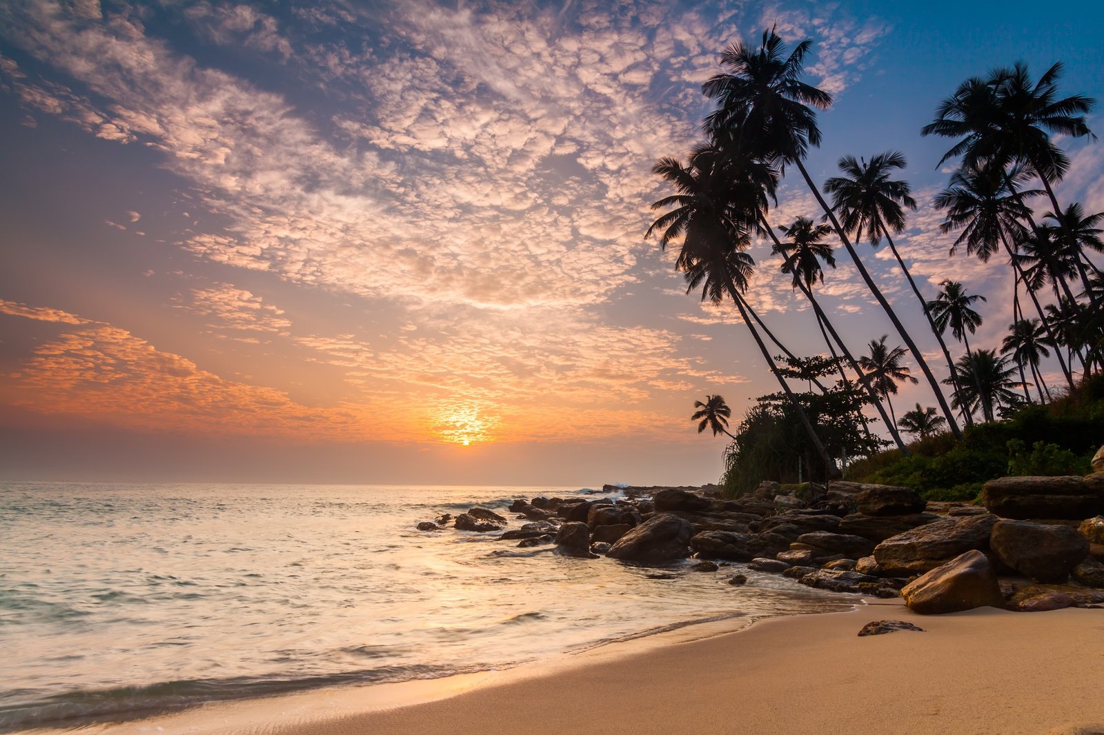 Sri Lanka Cultural & Coastal Adventure