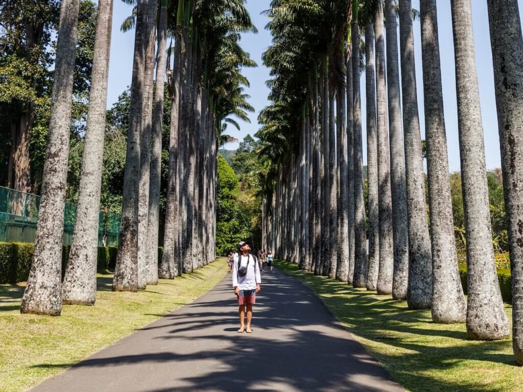 sri-lanka-kandy-jan-17-2017-tourist-standing-2024-11-14-12-37-43-utc