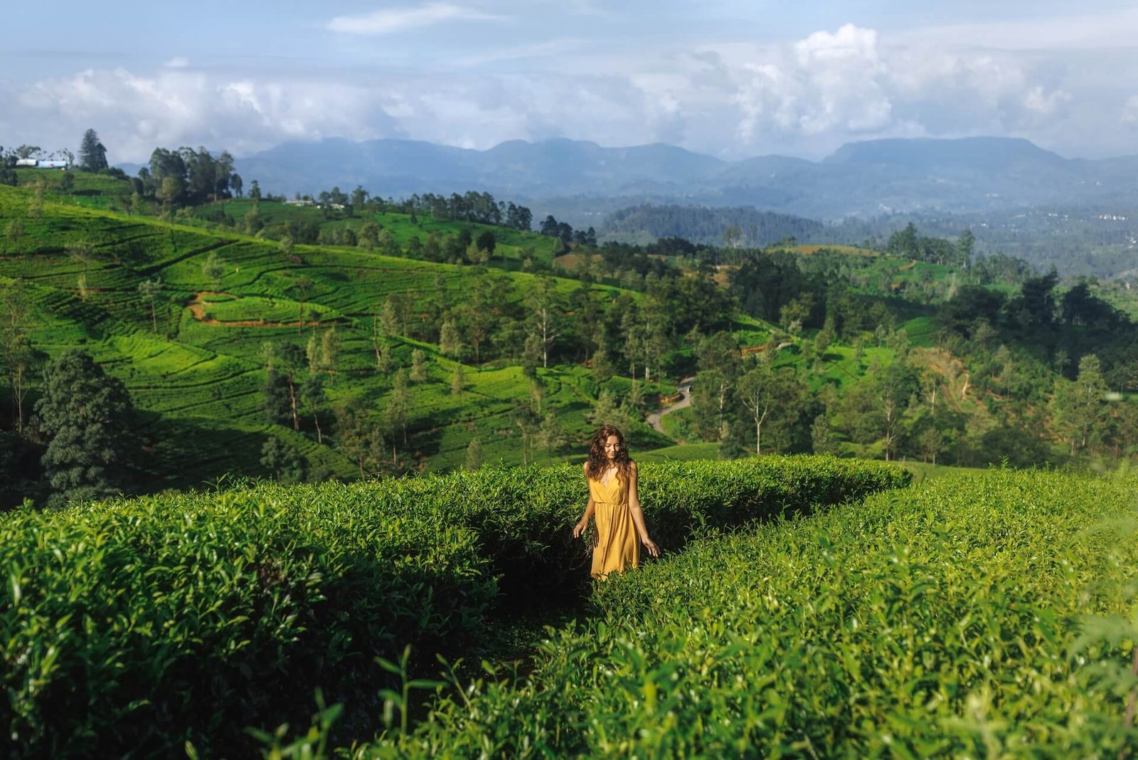 14-Day Sri Lanka Travel Itinerary