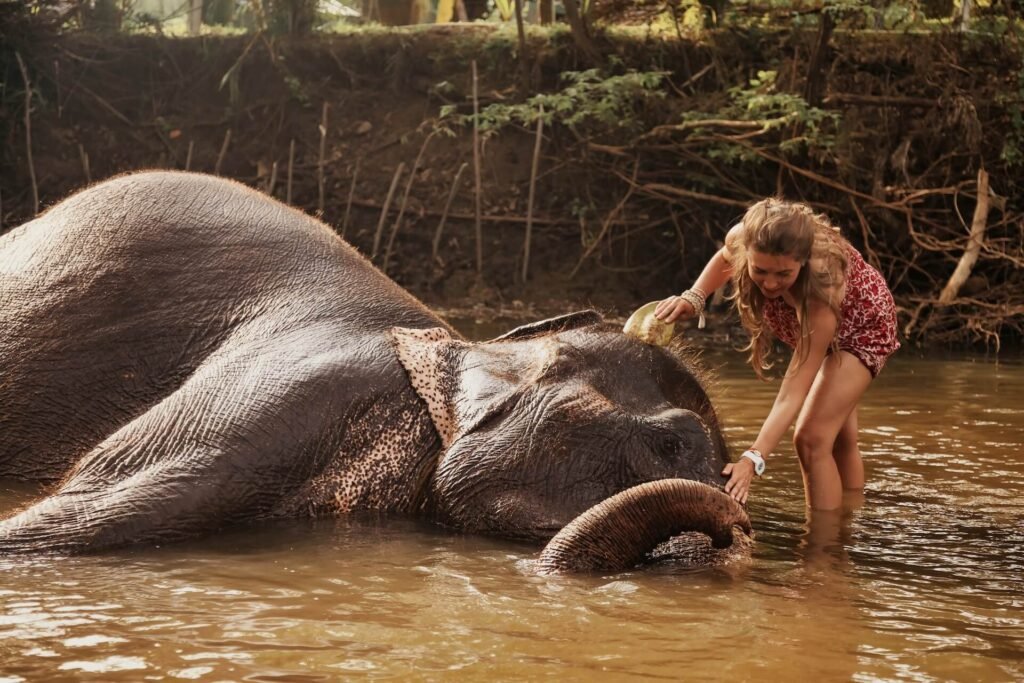 woman-interacts-playfully-with-a-gentle-elephant-i-2026-01-06-00-00-03-utc