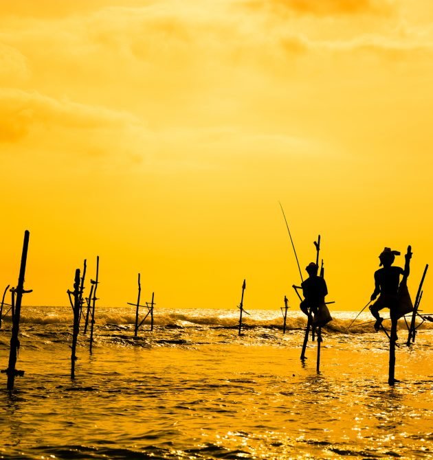 Traditional stilt fisherman in Sri Lanka